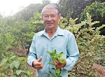 5 nông dân Vĩnh Long được tuyên dương sản xuất giỏi toàn quốc