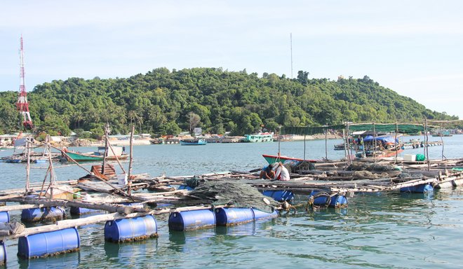 Người dân trên đảo ngoài việc đánh bắt hải sản, còn đầu tư nuôi các loại cá đặc sản để tăng thu nhập.
