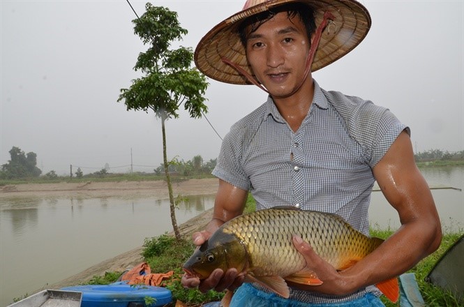 Hào đang thu hoạch cá