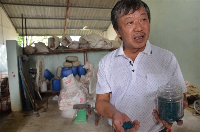 Anh Quang giới thiệu về cách cho lợn ăn tảo xoắn