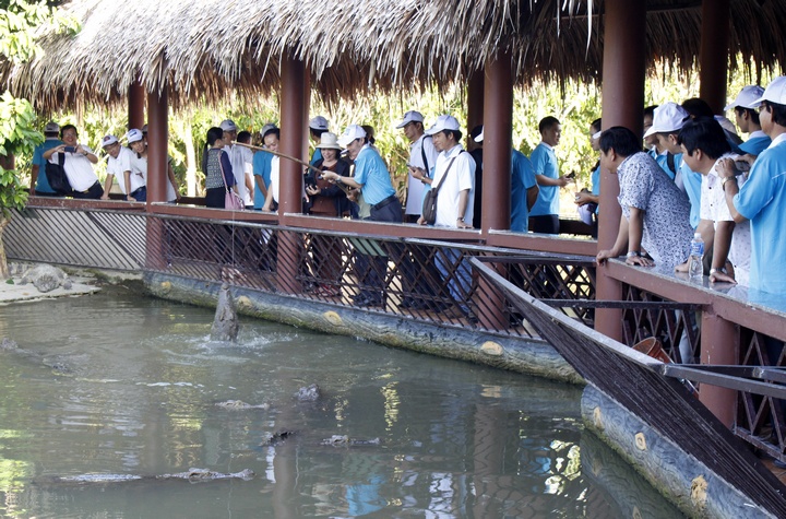 Làng du lịch sinh thái Mỹ Khánh, huyện Phong Điền, cách trung tâm TP Cần Thơ 10km, là một trong những điểm đến tiêu biểu của TP Cần Thơ. Câu cá sấu cũng là một dịch vụ “hút khách” ở đây.