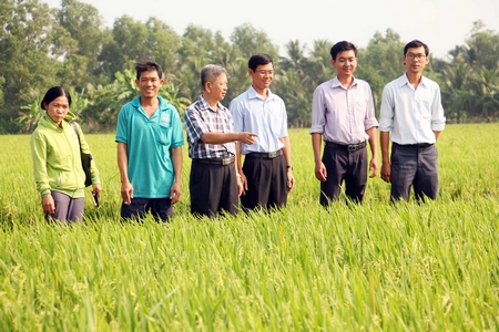 Tham quan điểm sản xuất giống lúa thuần vụ Đông Xuân 2017- 2018 tại ấp Phú Hữu Yên, xã Song Phú (Tam Bình).