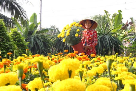 Cô Nguyễn Thị Tiềm tươi rói bên thiên hoa do tay mình chăm chút.