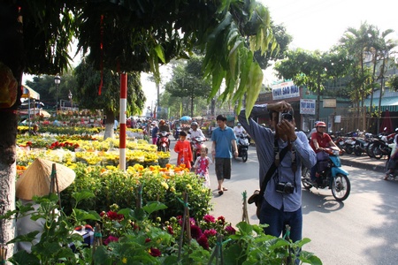 Chợ hoa trở thành địa điểm yêu thích của người dân dịp tết đến