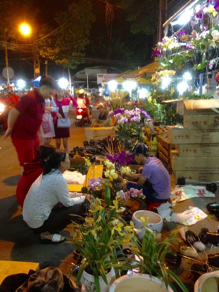 Chợ hoa tết đêm cũng tấp nập người mua kẻ bán. Cùng với cúc, vạn thọ, mai vàng… hoa lan cũng là mặt hàng đắt khách.