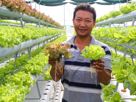 Anh Ngô Hữu Anh Khôi với mô hình sản xuất rau thủy canh.