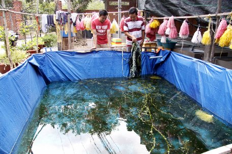 Anh Tân (bên phải) dùng vải bạt làm bể bán kiên cố nuôi lươn thịt để giới thiệu, hướng dẫn cách nuôi lươn cho bà con.