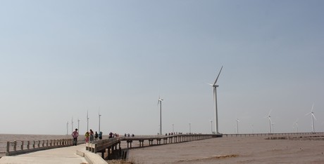 Cánh đồng điện gió Bạc Liêu trở thành điểm tham quan hấp dẫn du khách.