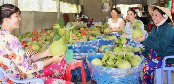 Hiện nay, nông nghiệp TX Bình Minh đã và đang phát triển theo hướng sản xuất nông nghiệp sạch, bền vững, hình thành các vùng sản xuất tập trung tạo chuỗi liên kết giữa sản xuất và tiêu thụ sản phẩm trên lĩnh vực trái cây và rau màu, trong đó có nhiều sản phẩm tiềm năng, lợi thế của vùng như bưởi Năm Roi Mỹ Hòa, xà lách xoong Thuận An…