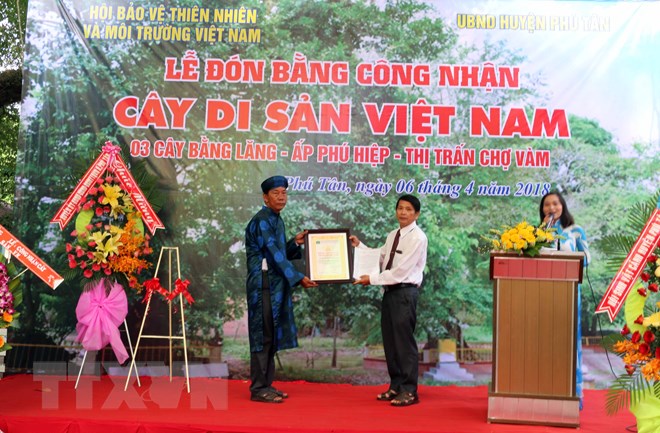 Lễ trao Bằng công nhận Cây di sản Việt Nam cho đại diện Ban quản lý Miếu Bằng lăng. (Ảnh: Công Mạo/TTXVN)