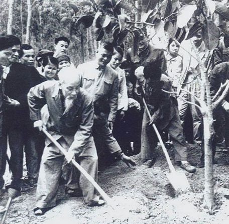 Chủ tịch Hồ Chí Minh là người khởi xướng Tết trồng cây. Ảnh: nguồn Internet