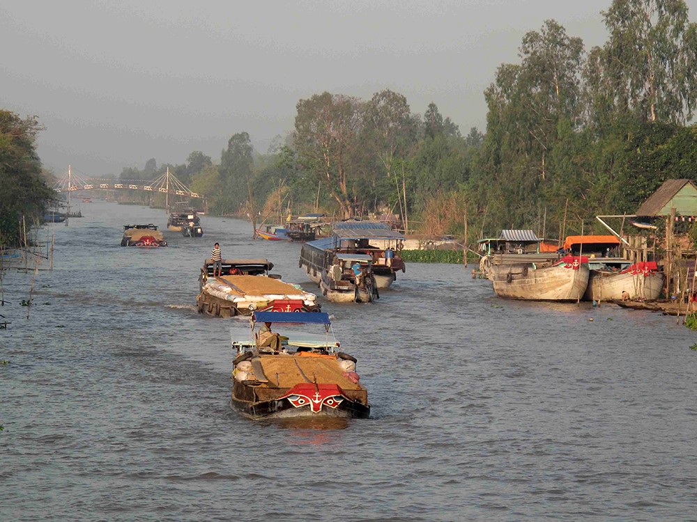 Ghe chở lúa trên các kênh, rạch 