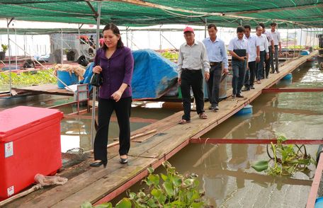 Đoàn giám sát của Tỉnh ủy tham quan HTX Thủy sản Huỳnh Tuấn.