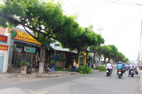 Đường Trưng Nữ Vương là tuyến đường trung tâm ở TP Vĩnh Long.