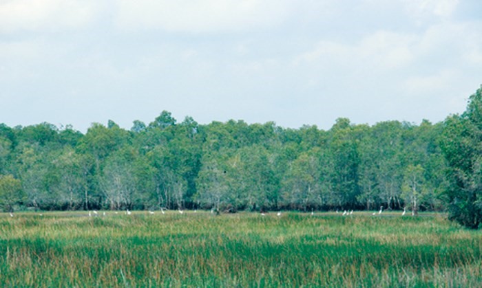 VQG Tràm Chim là Khu Ramsar thứ 2.000 của thế giới và thứ 4 của Việt Nam.