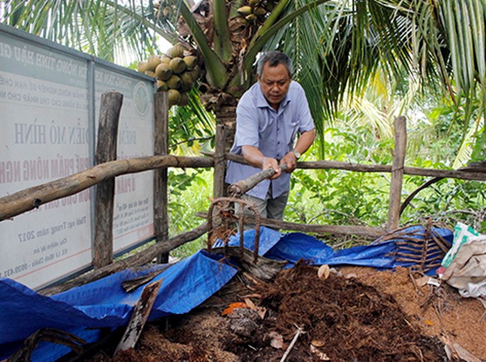 Hiện nay, nhiều người dân ở Hậu Giang đã dùng chế phẩm sinh học ủ rơm làm phân hữu cơ bón cho cây trồng