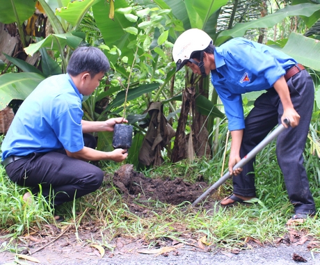 Thanh niên trồng cây xanh bảo vệ môi trường