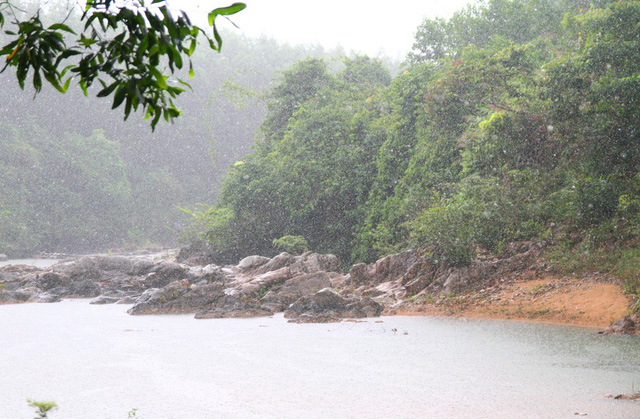 Một cơn mưa rừng làm trắng xóa cả dòng suối Khe Đầy, tạo nên khung cảnh cực kỳ hoang dã của núi rừng