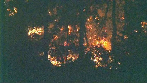 Đám cháy trên đảo Ketron ở Puget Sound, bang Washington, Mỹ, nơi chiếc Q400 bị lấy trộm rơi ngày 10-8-2018. ẢNH: KOMO