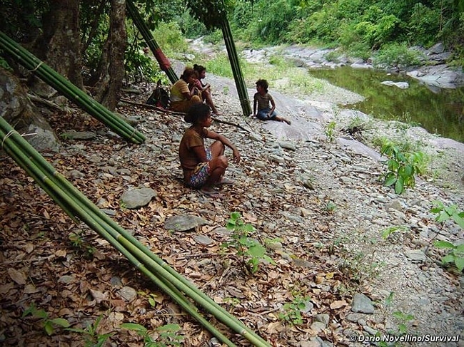 Bộ lạc Batak ở đảo Palawan, Philippines. Tổ tiên của họ được cho là những người đầu tiên rời khỏi châu Phi cách đây hơn 70.000 năm.