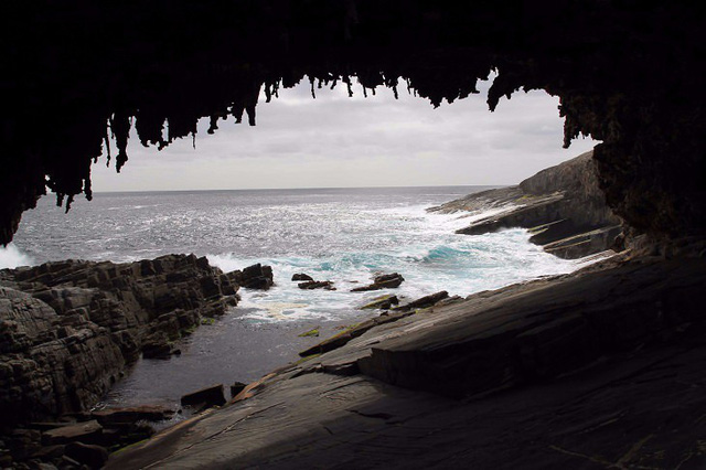 Giống như các hang động biển khác, Admirals Arch cũng được hình thành qua hàng ngàn năm chịu sự xói mòn của đại dương. Các nhũ đá nảy nở tự nhiên từ trần hang, những con sư tử biển và hải cẩu biển thân thiện, có quá nhiều thứ để say mê tại đây.
