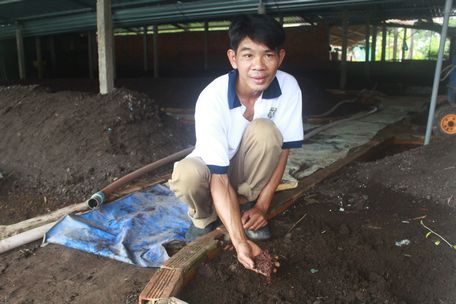 Từ 10m2, đến nay anh Trương Minh Trung đã phát triển chuồng trại nuôi trùn quế lên 700m2.