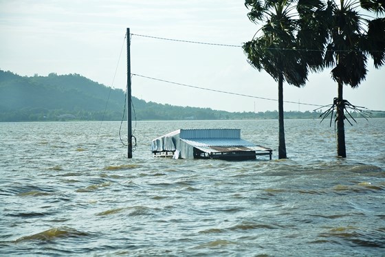 Nước lũ từ Campuchia đổ về vùng biên giới An Giang rất mạnh, gây ngập nhiều nơi. ẢNH:  HUỲNH LỢI 