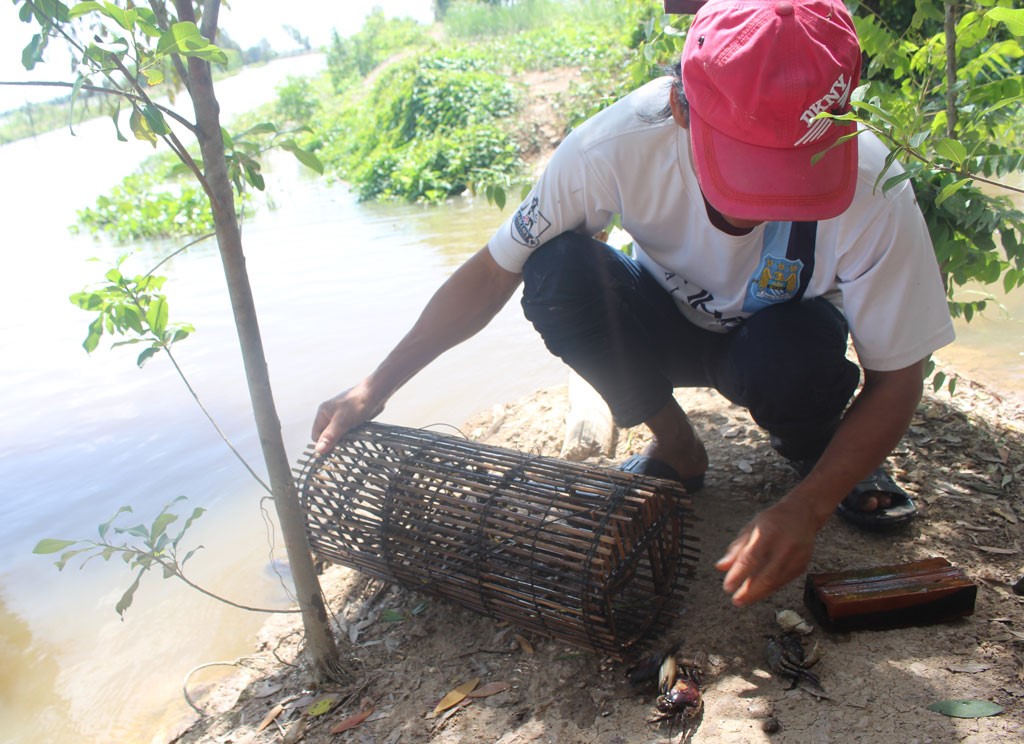 Cá, cua, rắn,... - nguồn lợi thủy sản mang lại thu nhập đáng kể cho người dân vùng lũ