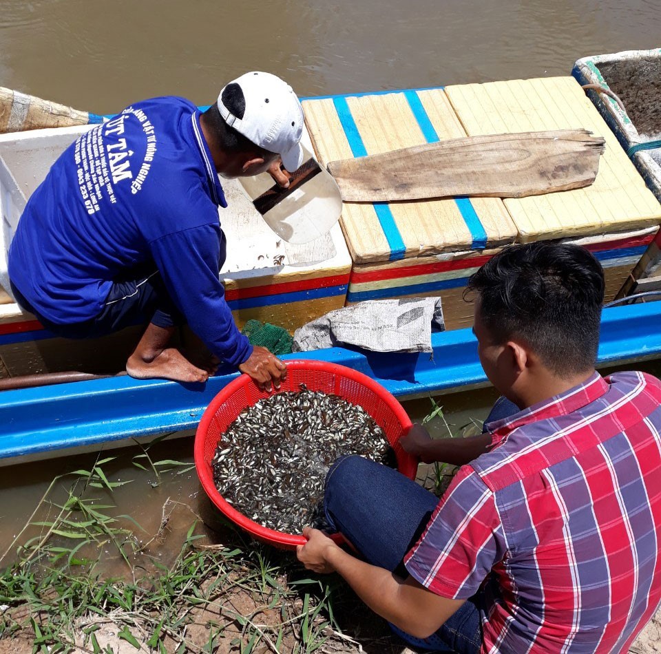 Nguồn lợi thủy sản mang lại thu nhập đáng kể cho người dân vùng lũ