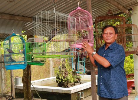 Những lúc rảnh chú Nguyễn Văn Nghiêm chăm sóc chim cảnh nâng cao đời sống tinh thần cho mình.