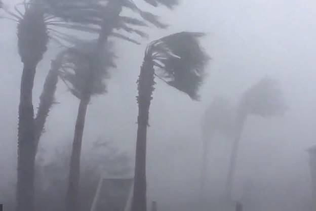 Hình ảnh cho thấy sức gió từ cơn bão nhiệt đới Michael khi đi qua thành phố Panama của đất nước Panama.