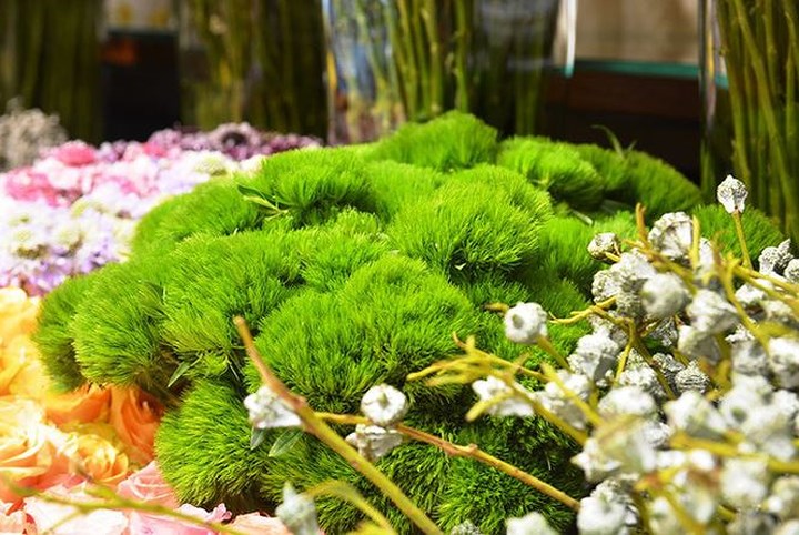 Hoa Green Wicky mới lạ cho mùa lễ 20/10 năm nay. (Ảnh: Dân trí)