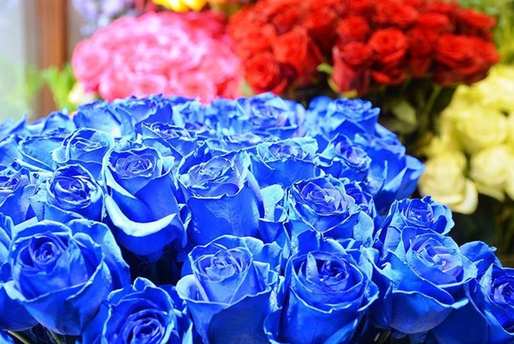 Ngoài những loại hoa “độc” thì các loại hoa hồng đủ sắc màu cũng được bày bán nhiều trên thị trường. (Ảnh: Dân trí)