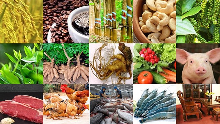 Theo dự thảo Thông tư ban hành Danh mục sản phẩm nông nghiệp chủ lực quốc gia do Bộ Nông nghiệp và Phát triển nông thôn đưa ra lấy ý kiến, 15 sản phẩm nông nghiệp được đề xuất là sản phẩm chủ lực quốc gia, bao gồm:
