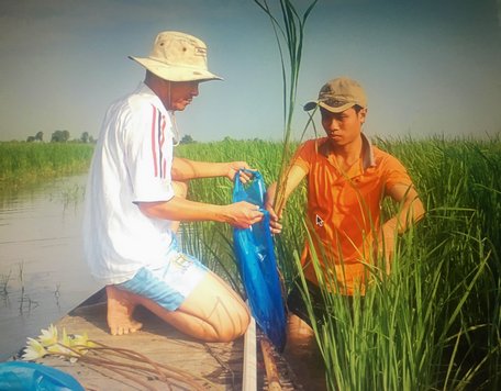 Nhóm nghiên cứu dự án ghi chép số liệu trên ruộng lúa mùa nổi An Giang.