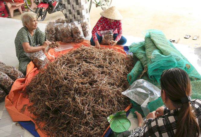 Nhờ được khách hàng ở các tỉnh thành lân cận, đặc biệt là ở TP Hồ Chí Minh ưa chuộng nên hiện bà con xóm nghề cũng “ăn nên làm ra”.