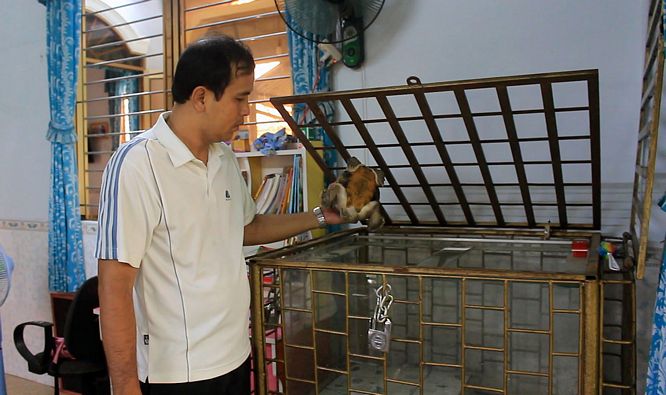 Rùa được nuôi  trong lồng kính. Nhiều người đến tham quan và ngỏ ý muốn mua  gần tỷ bạc nhưng anh Võ Minh Tuấn đã từ chối.
