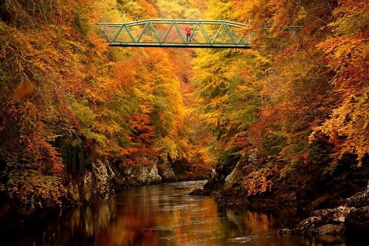Cây cầu chìm giữa rừng lá cây mùa thu trên con sông Garry ở Scotland, Vương quốc Anh.