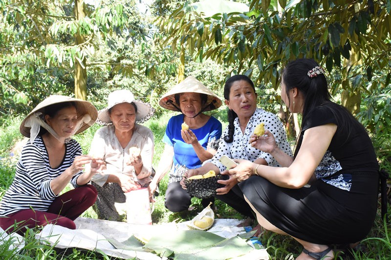 Khách tham quan và thưởng thức sầu riêng tại vườn ở xã Tân Phú, huyện Châu Thành.