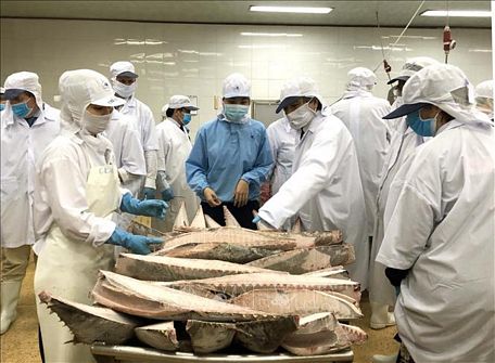 Đoàn Ủy ban Nghề cá của Nghị viện châu Âu kiểm tra tại Công ty Cổ phần thủy sản Bình Định. Ảnh: Nguyên Linh/TTXVN
