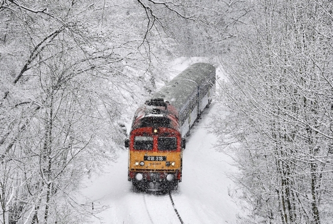 Giới chức Đức đã đóng cửa một số tuyến đường và xe lửa trên khắp vùng Bavaria do tuyết rơi dày và các trường học trong khu vực cũng đã bị đóng cửa vì lý do thời tiết. Ảnh: EPA