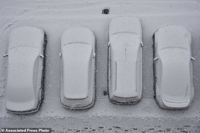 Những chiếc xe bị tuyết phủ trắng xóa ở một bãi đậu xe của Bratislava, Slovakia.