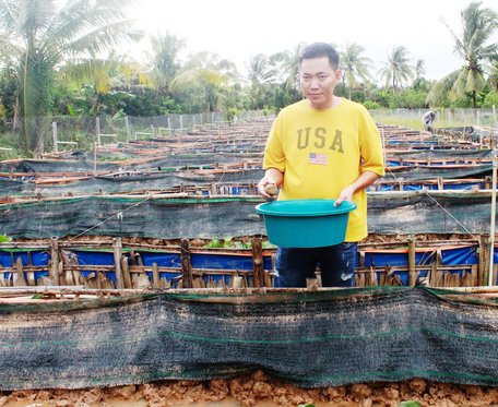 Nguyễn Thanh Tân với mô hình nuôi lươn giống thu về tiền tỷ mỗi năm.