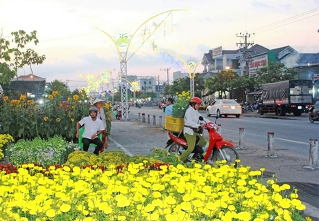 Một góc TX Bình Minh nhộn nhịp sắc hoa và đèn trang trí tết.