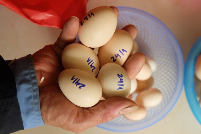 Trứng gà gấc được bán với giá là 10.000 đồng/ quả