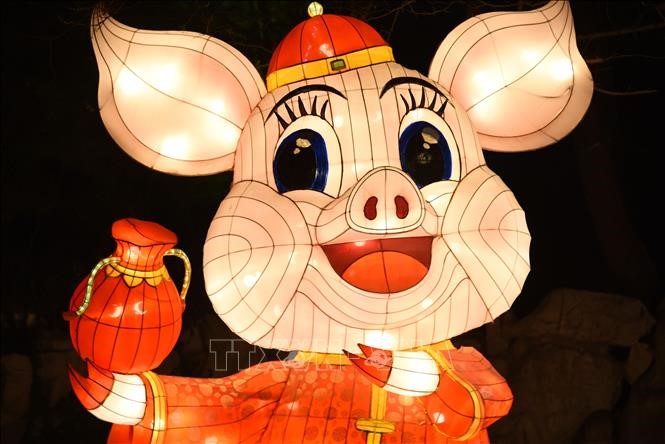 Đèn lồng hình chú lợn chào đón Tết Kỷ Hợi trưng bày tại tỉnh Sơn Đông, Trung Quốc. Ảnh: THX/TTXVN