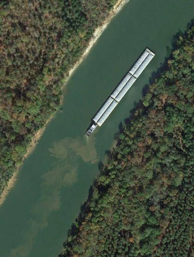 Một chiếc tàu nhỏ đang đẩy chiếc sà lan lớn trên sông Tombigbee ở Alabama (Mỹ).