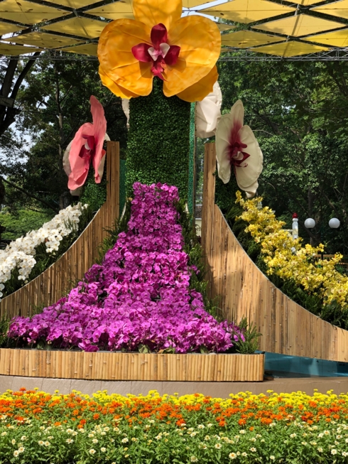 Với quy mô gần 10hecta, Lễ hội hoa lan TPHCM năm 2019 diễn ra tại Công viên Tao Đàn gồm 19 tiểu cảnh theo chủ đề “Sắc màu nhiệt đới”.