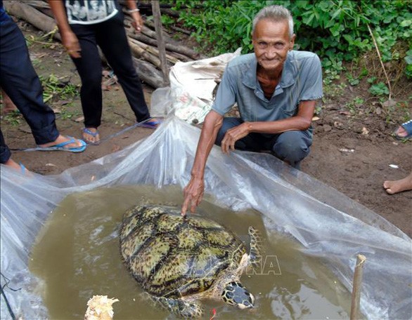Ông Huỳnh Chánh và con rùa biển 34kg bắt được trước sông nhà - Ảnh: TTXVN