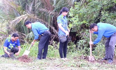Đoàn viên thanh niên tham gia trồng hoa tuyến đường khu dân cư khóm 1 (Phường 8- TP Vĩnh Long)